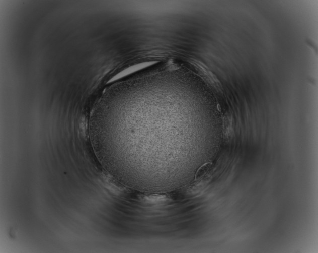 X0000092280669200710051144