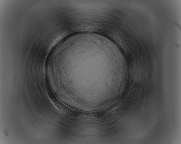 X0000092280674200710051144