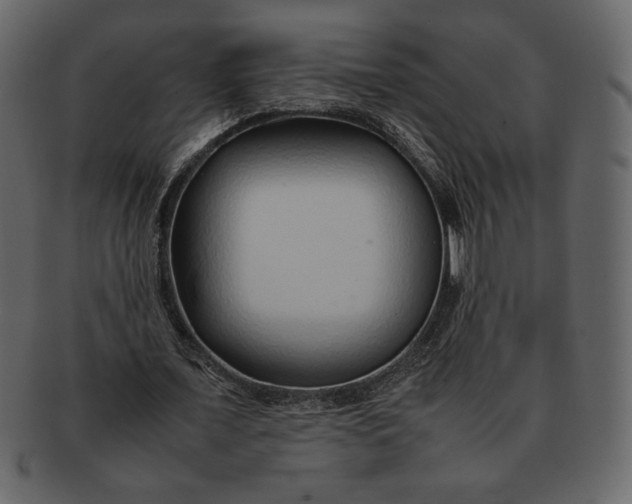 X0000092280675200710051144