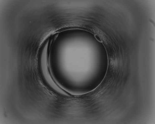 X0000092280676200710051144