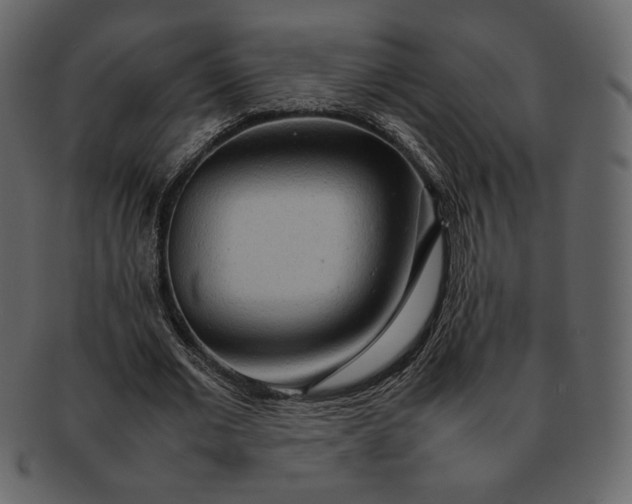 X0000092280677200710051144