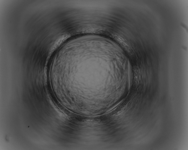 X0000092280678200710051144