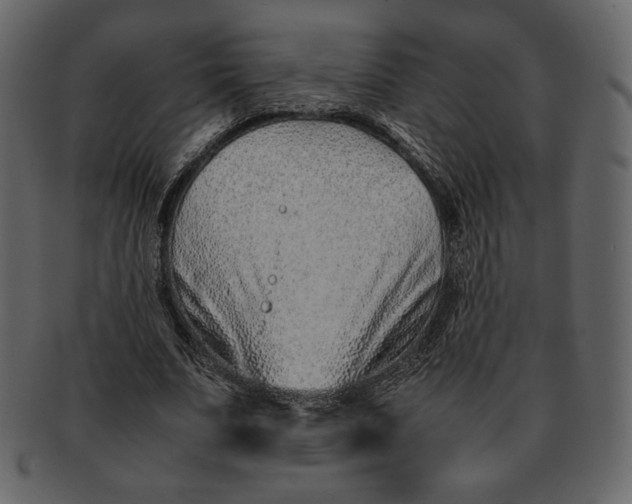 X0000092280679200710051144
