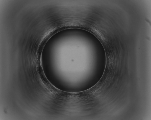 X0000092280680200710051144