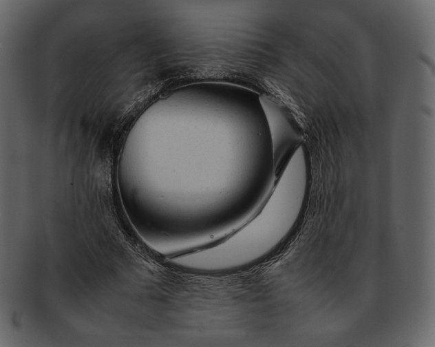 X0000092280681200710051144