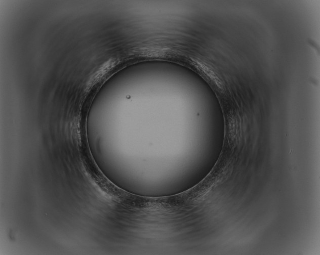 X0000092280682200710051144