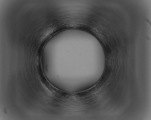 X0000092280683200710051144