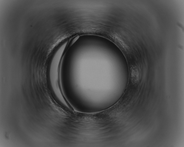 X0000092280684200710051144