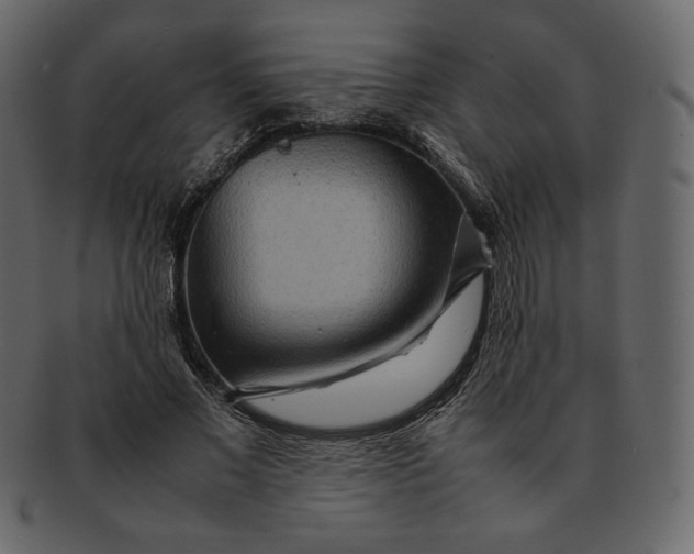 X0000092280685200710051144