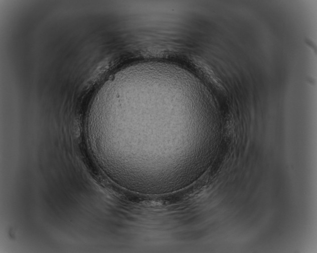 X0000092280687200710051144