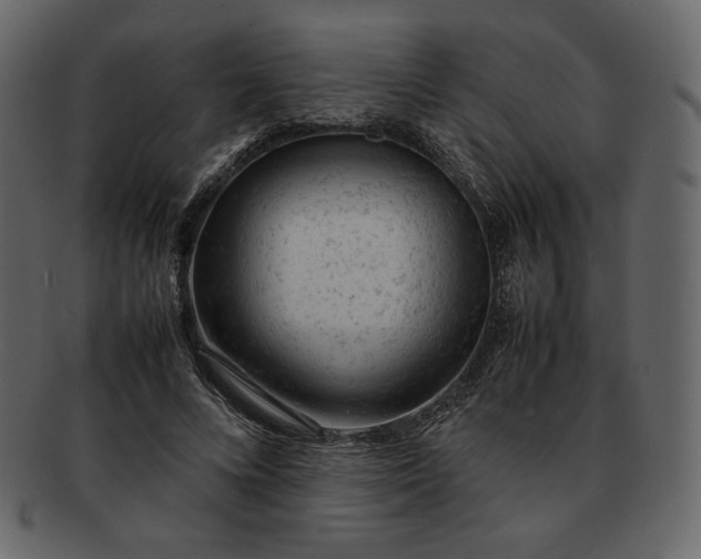 X0000092280688200710051144