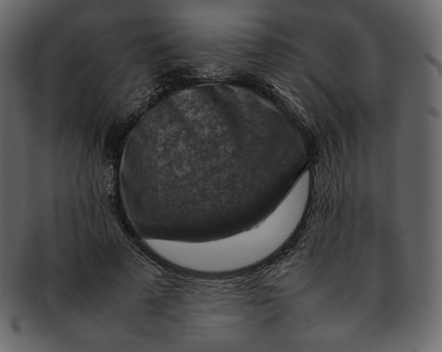 X0000092280689200710051144