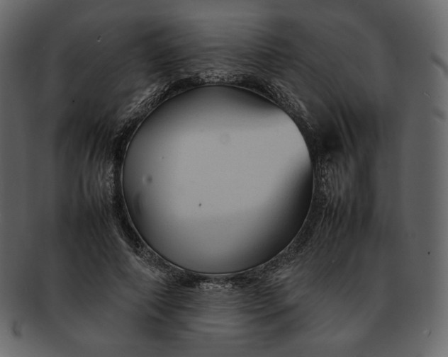 X0000092280690200710051144