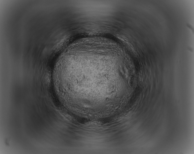 X0000092280691200710051144