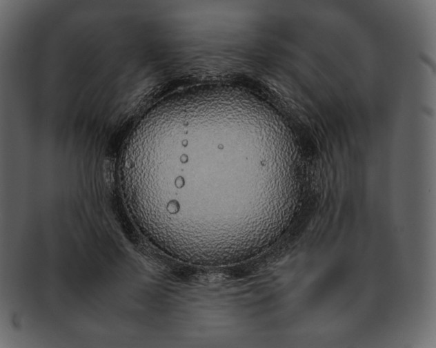 X0000092280695200710051144