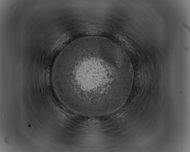 X0000092280696200710051144