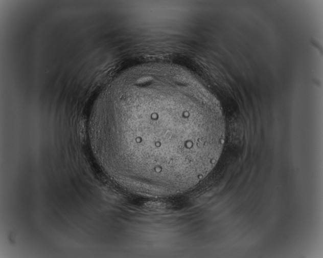 X0000092280699200710051144