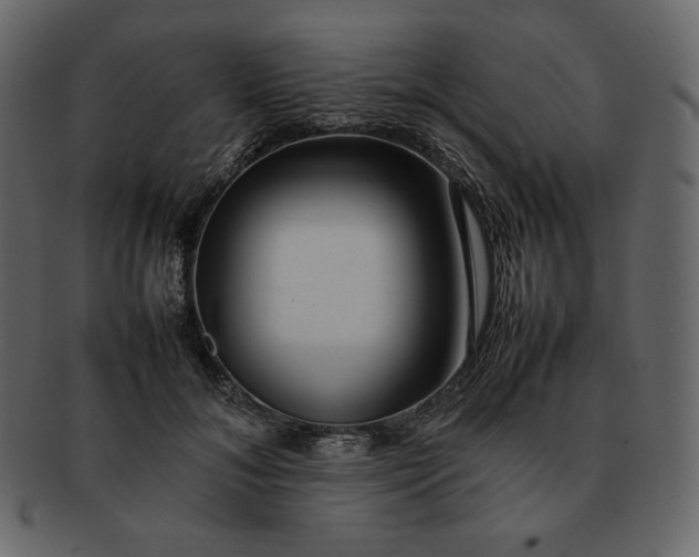 X0000092280700200710051144