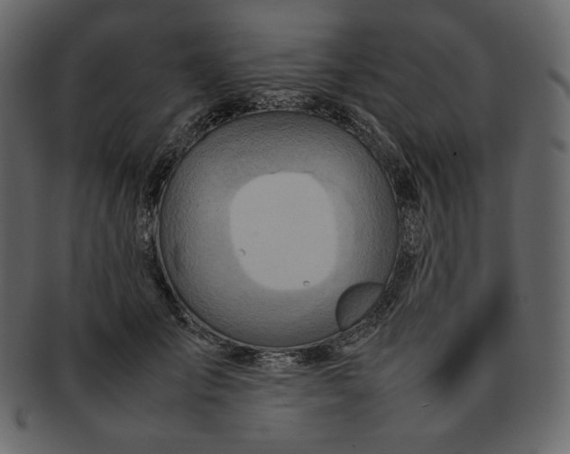 X0000092280701200710051144