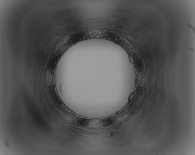 X0000092280705200710051144