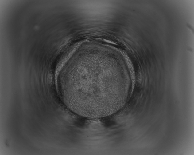 X0000092280715200710051143