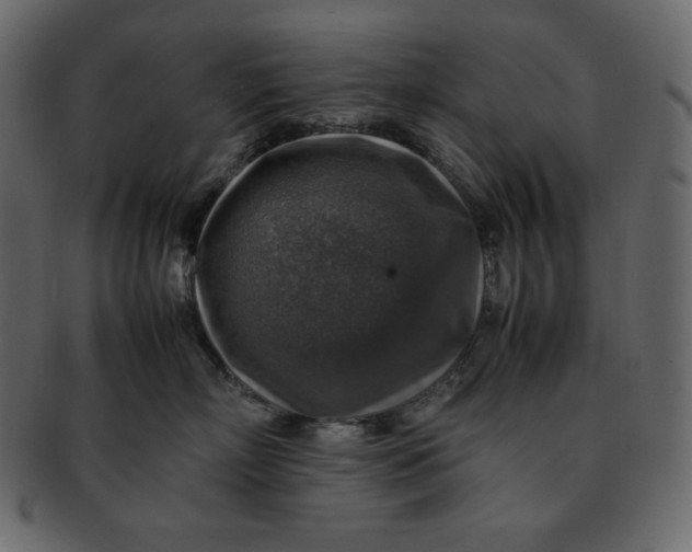 X0000092280718200710051143