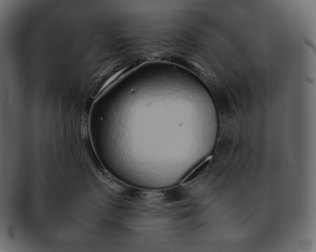 X0000092280719200710051143