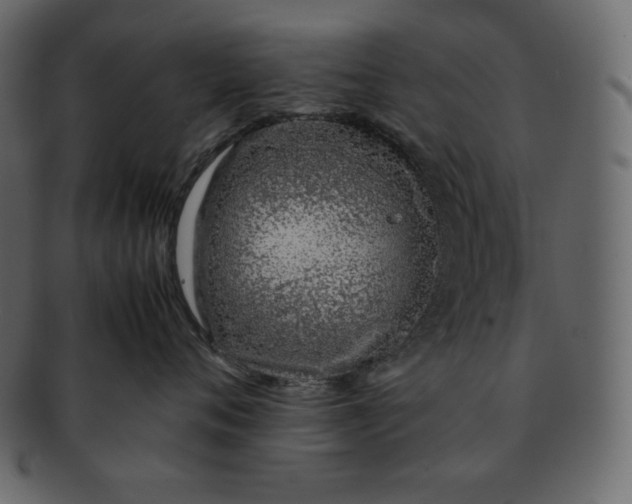 X0000092280720200710051143