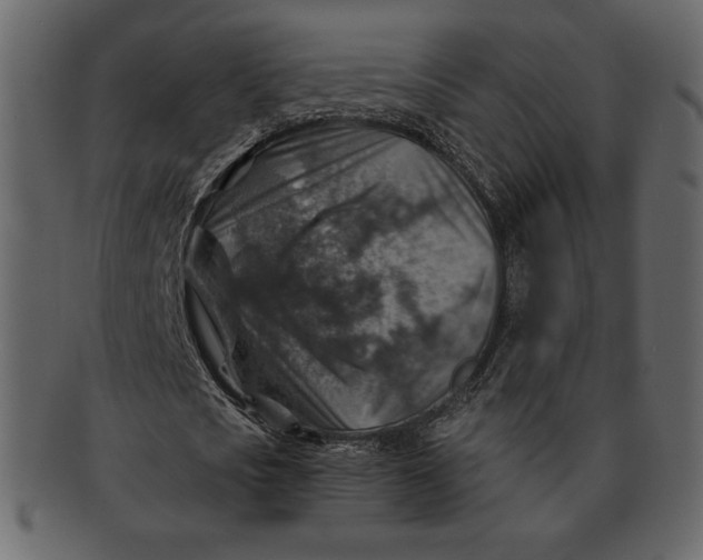 X0000092280721200710051143