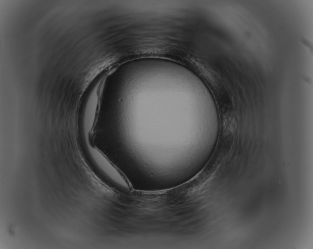 X0000092280725200710051143