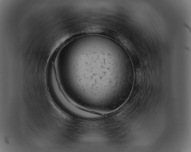 X0000092280726200710051143