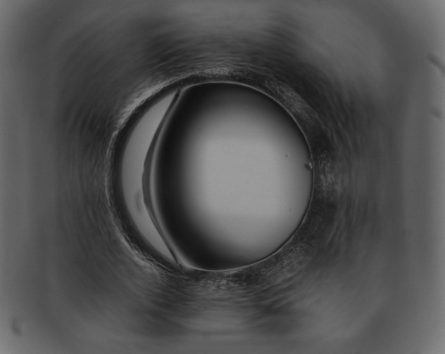 X0000092280728200710051143