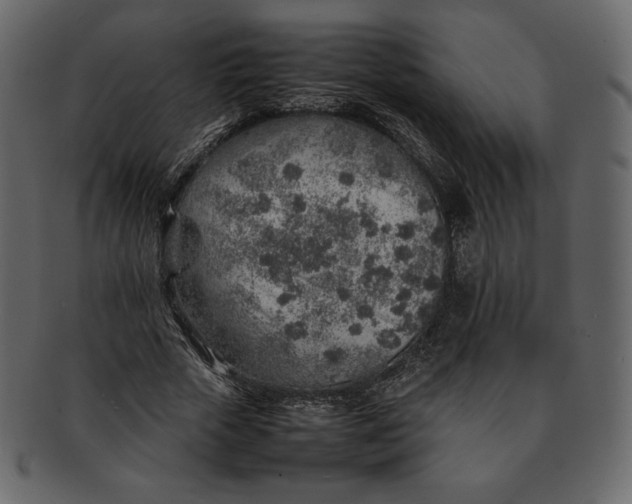 X0000092280729200710051143