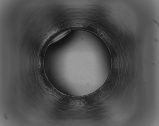 X0000092280731200710051143