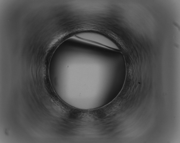 X0000092280732200710051143