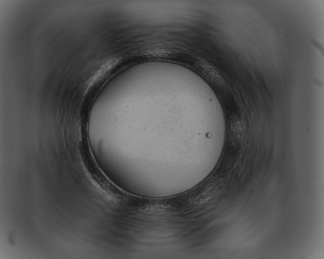 X0000092280734200710051143