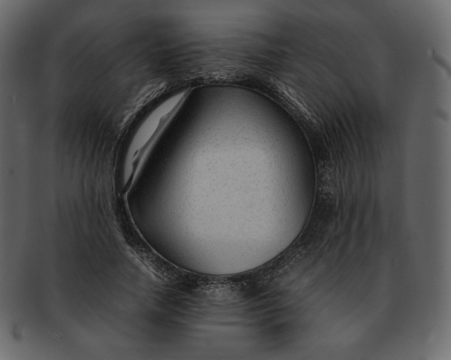 X0000092280738200710051143