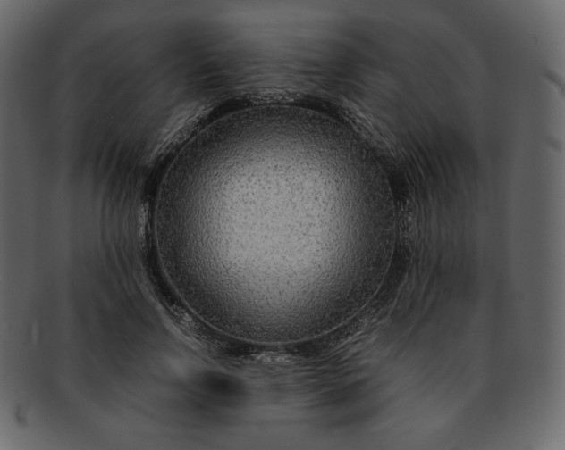 X0000092280742200710051143