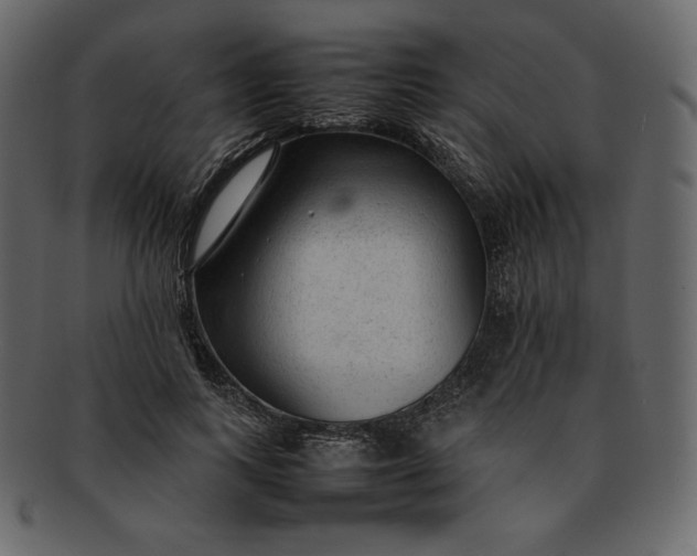 X0000092280743200710051143