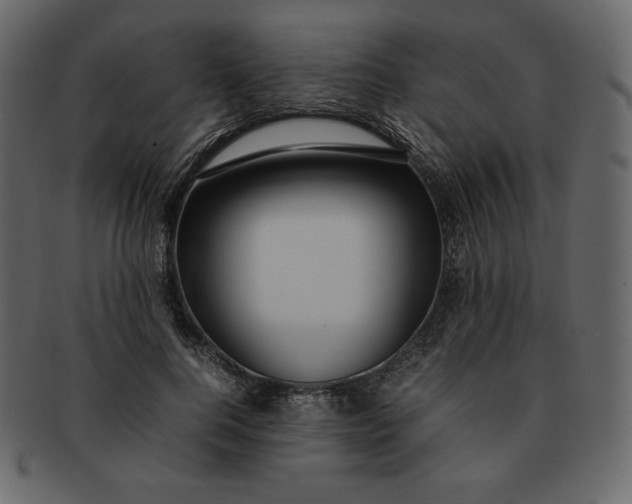 X0000092280744200710051143