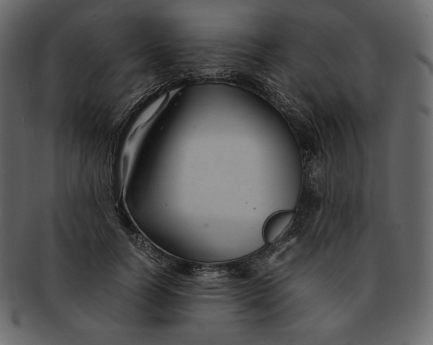 X0000092280746200710051143