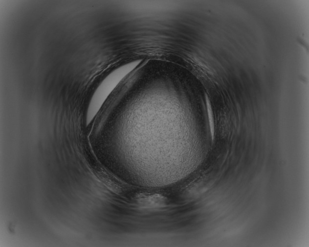 X0000092280747200710051143
