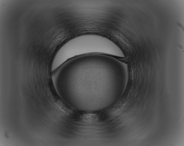X0000092280748200710051143