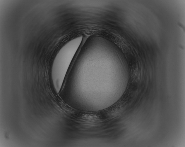 X0000092280749200710051143