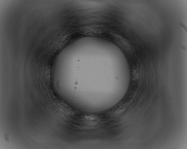 X0000092280753200710051143