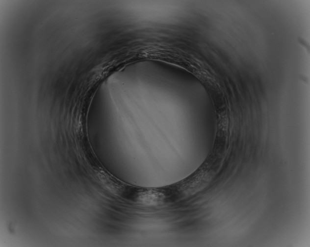 X0000092280754200710051143
