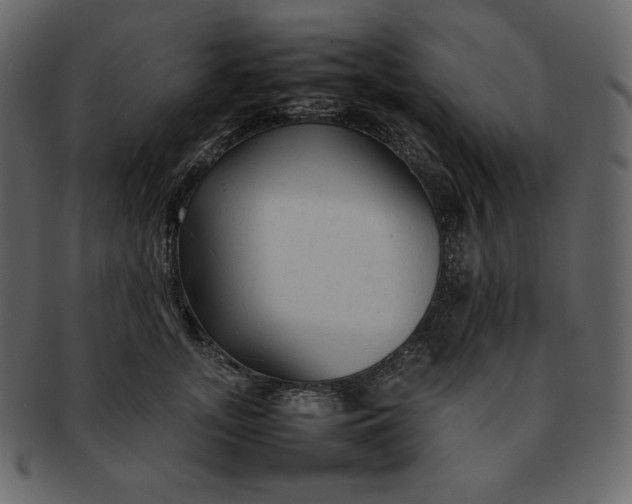 X0000092280755200710051143