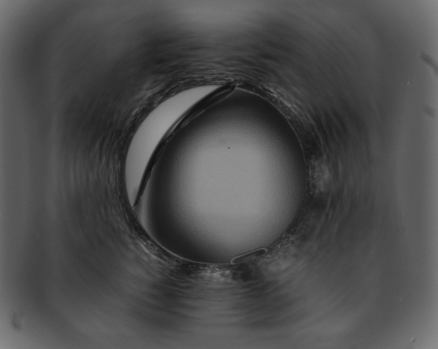 X0000092280760200710051143