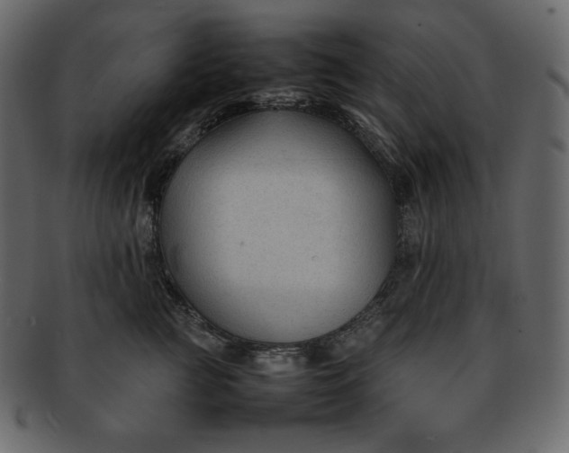 X0000092280761200710051143