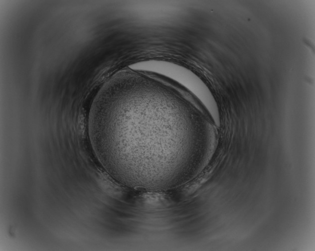 X0000092280762200710051143